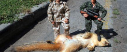 “News of the Strange” – Squirrel Shootouts and Water Assaults