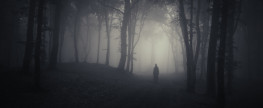 The Danger of Forgetting to Fear the Night