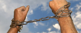 What if your freedom of speech was limited to one topic?