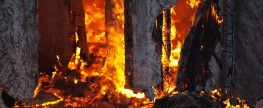 Strong Gun Control, Oppressive Government…Welcome to Kiev Ukraine