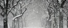 Winter is Coming…and the White Walkers are coming for your guns