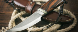 Knife Law Reforms Advance in Several States